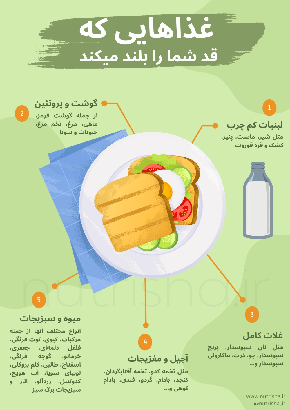 غذاهای مفید برای افزایش قد